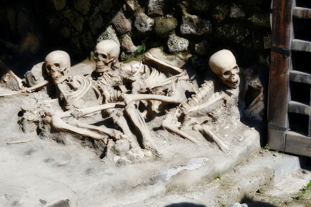 Herculaneum Half Day