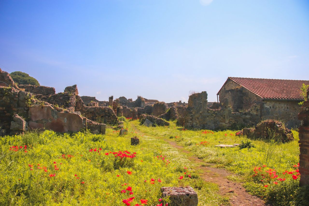 Pompeii & Vesuvius with light lunch