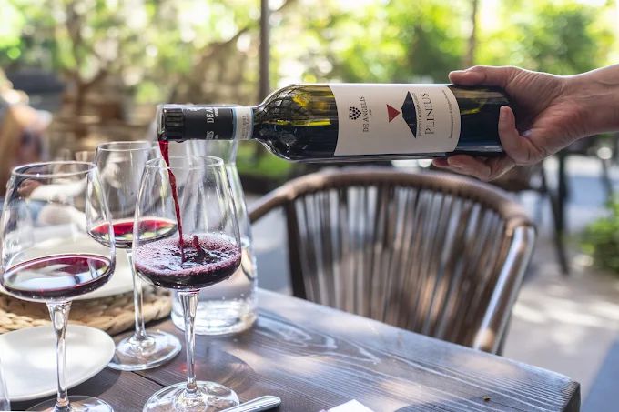 Wine tasting Vineyard Experience