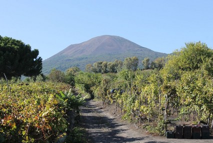 Pompeii & Bosco dei Medici Winery - Skip the line