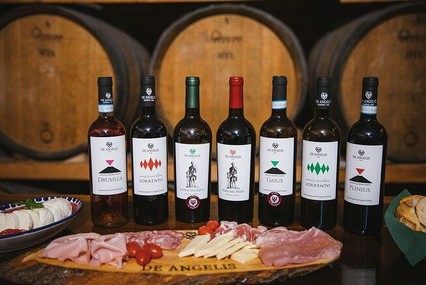 Wine tasting Campania roots (Tasting 7 wines)