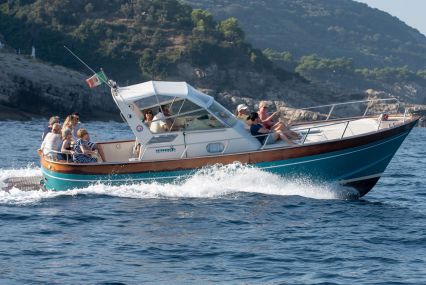 Capri VIP & Blue grotto