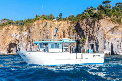 Amalfi coast boat tour with lunch