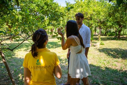 Lemon Experience - Garden Tour & Tastings