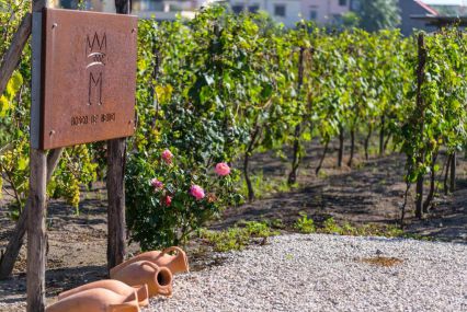 Pompeii & Bosco dei Medici Winery