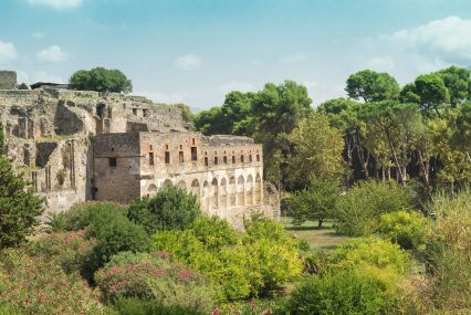 Pompeii & Vesuvius - Skip the line with light lunch