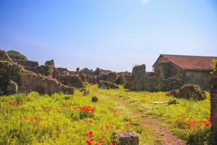 Pompeii & Vesuvius - Skip the line with light lunch